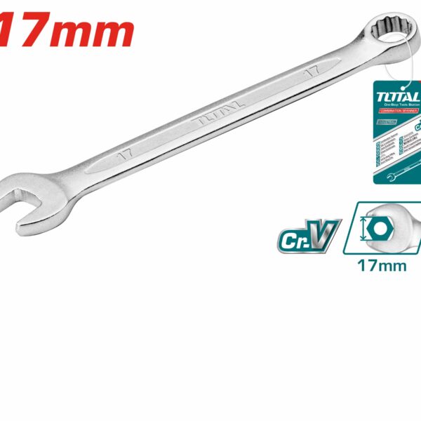 TCSPA171 Combination Spanner