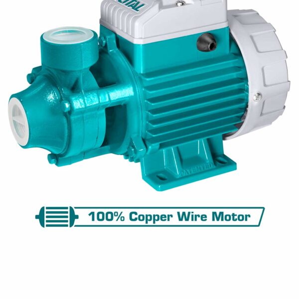 TWP137026 Peripheral Pump